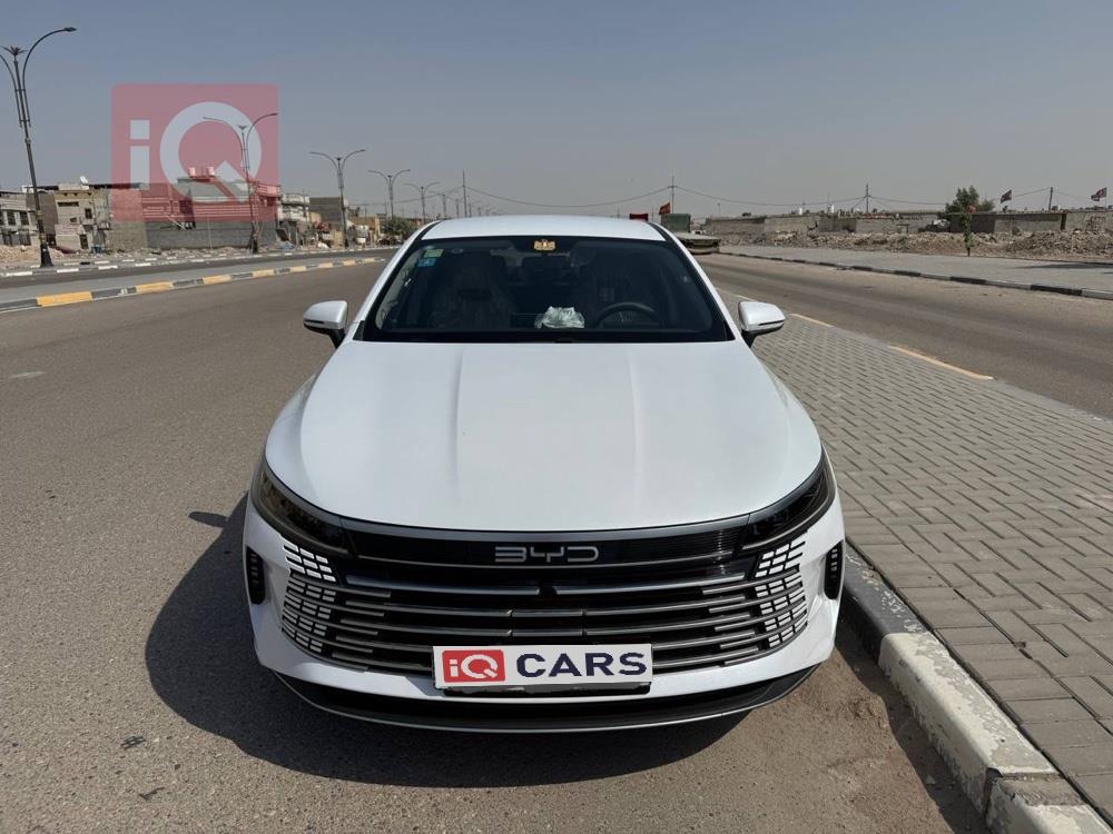 BYD Destroyer 05